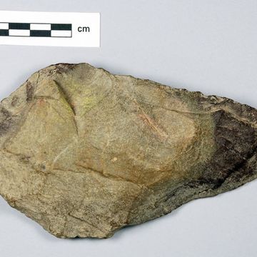 Stone handaxe, India, Acheulian period